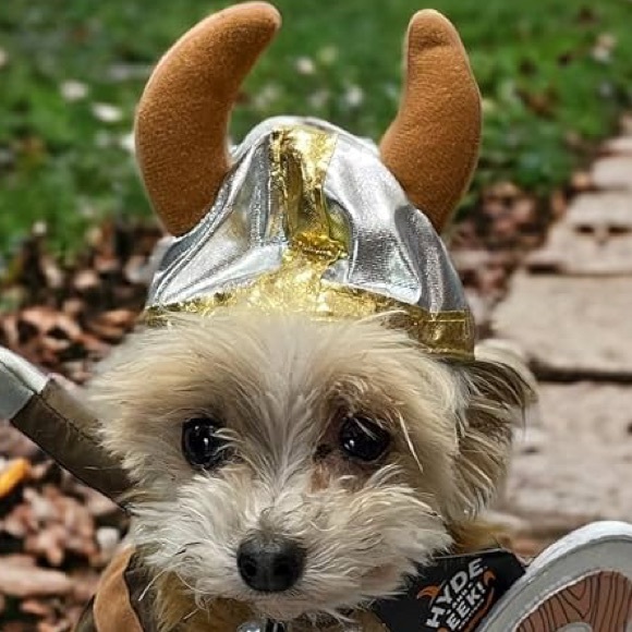 Hyde & Eek! Boutique Viking Hat Costume for Dogs and Cats - XL - Picture 1 of 9